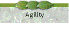 Agility