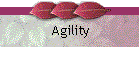 Agility